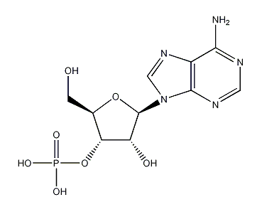 腺苷酸;adenosine 3"-monophosphate,from yeast (cas 84-21-9) 生产